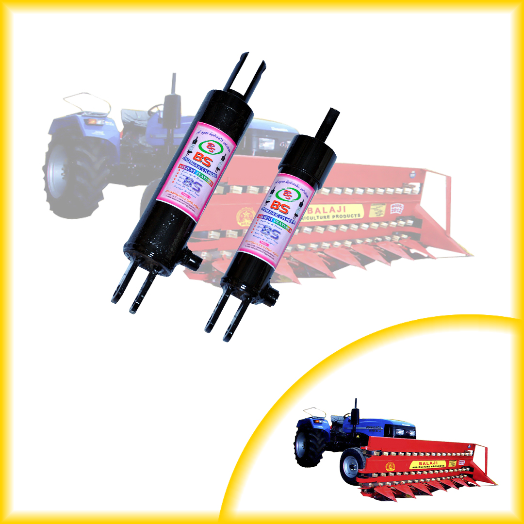 B.S. Hydraulic Industry